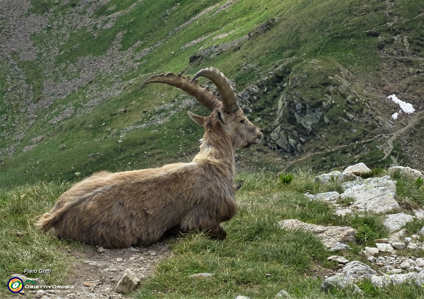 67 Ritrovata comoda posizione di relax.JPG